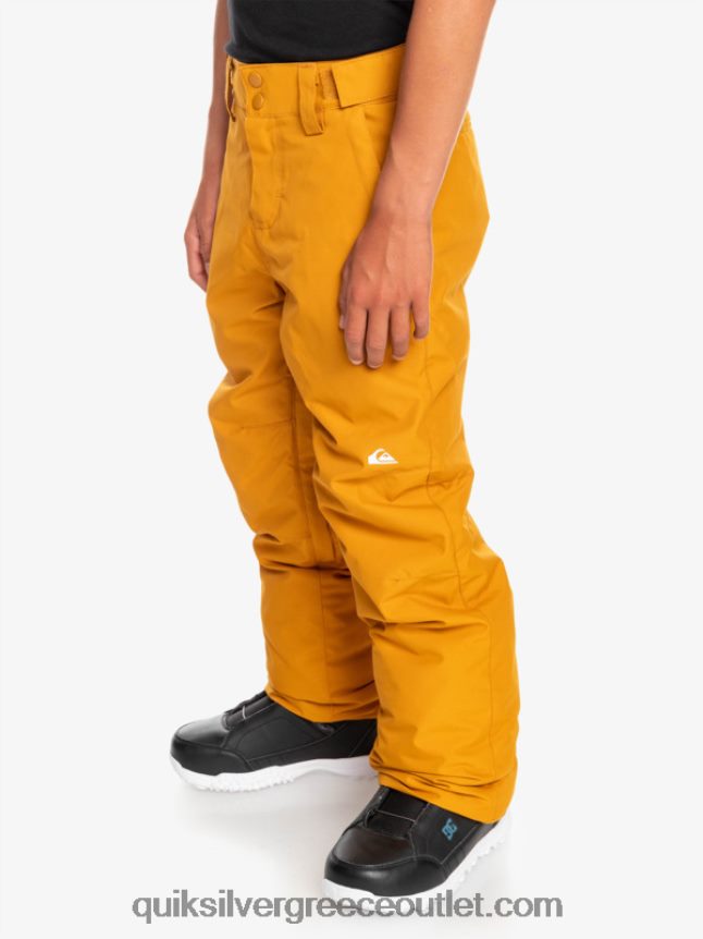 Παντελόνι χιονιού 8-16 estate Quiksilver αγόρια 66LP842293 ιπποφαές
