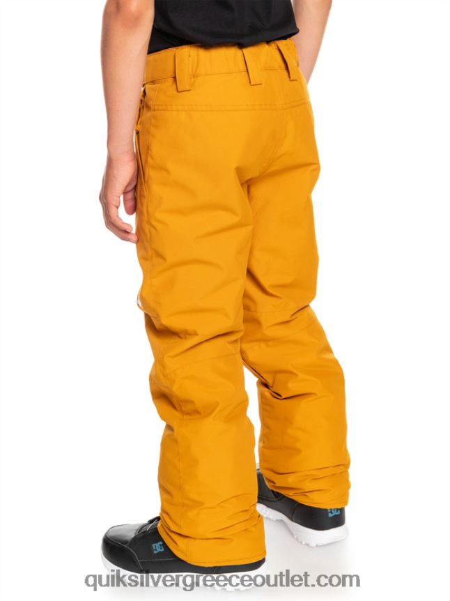 Παντελόνι χιονιού 8-16 estate Quiksilver αγόρια 66LP842293 ιπποφαές