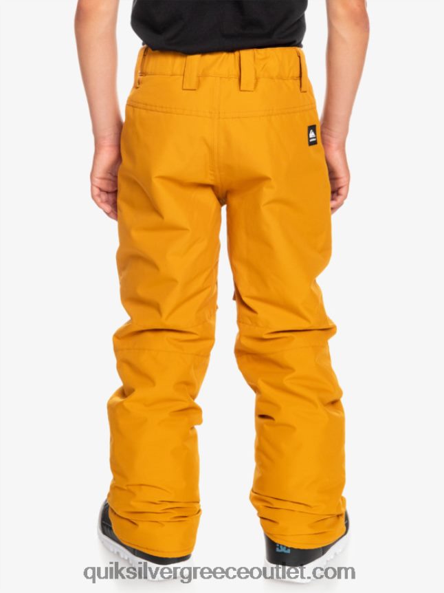 Παντελόνι χιονιού 8-16 estate Quiksilver αγόρια 66LP842293 ιπποφαές