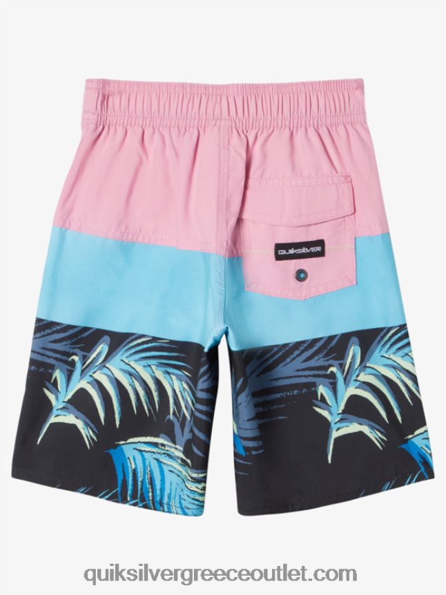 2-7 καθημερινά πάνελ 14 επιτραπέζια σορτς Quiksilver αγόρια 66LP841897 φεγγαρόφωτος μοβ
