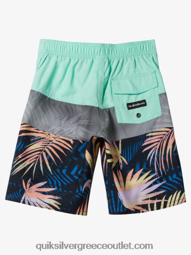 2-7 καθημερινά πάνελ 14 επιτραπέζια σορτς Quiksilver αγόρια 66LP841899 γυαλί παραλίας