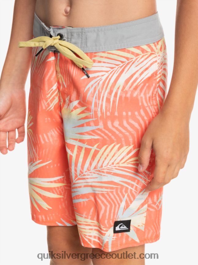 8-16 καθημερινά qs 69 16 boardshorts Quiksilver αγόρια 66LP842139 φρέσκος σολομός