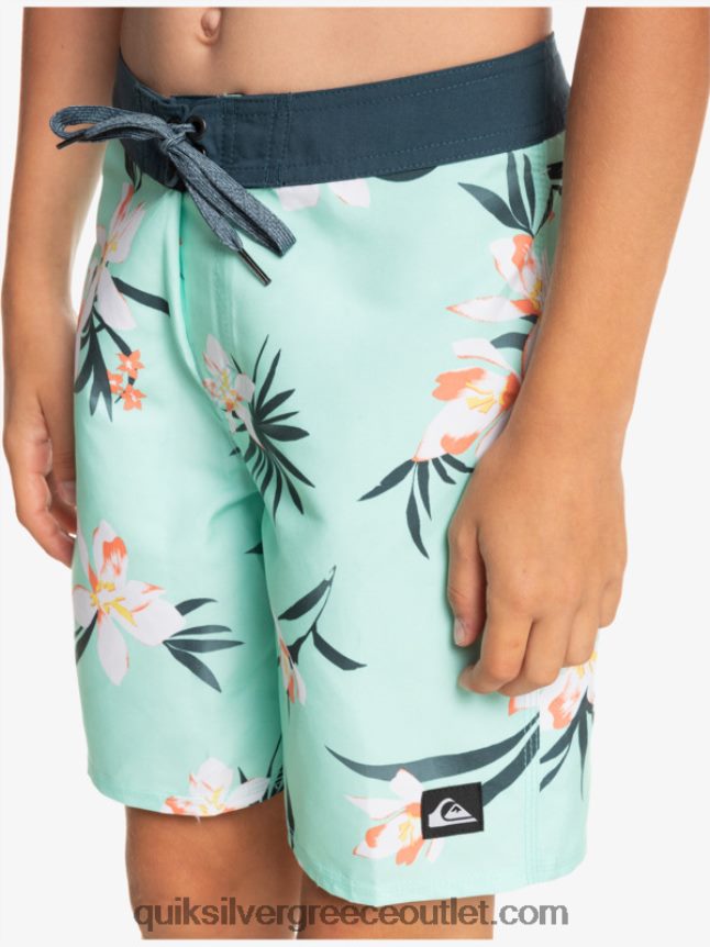 8-16 καθημερινά qs 69 16 boardshorts Quiksilver αγόρια 66LP842140 γυαλί παραλίας