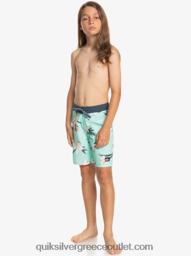 8-16 καθημερινά qs 69 16 boardshorts Quiksilver αγόρια 66LP842140 γυαλί παραλίας