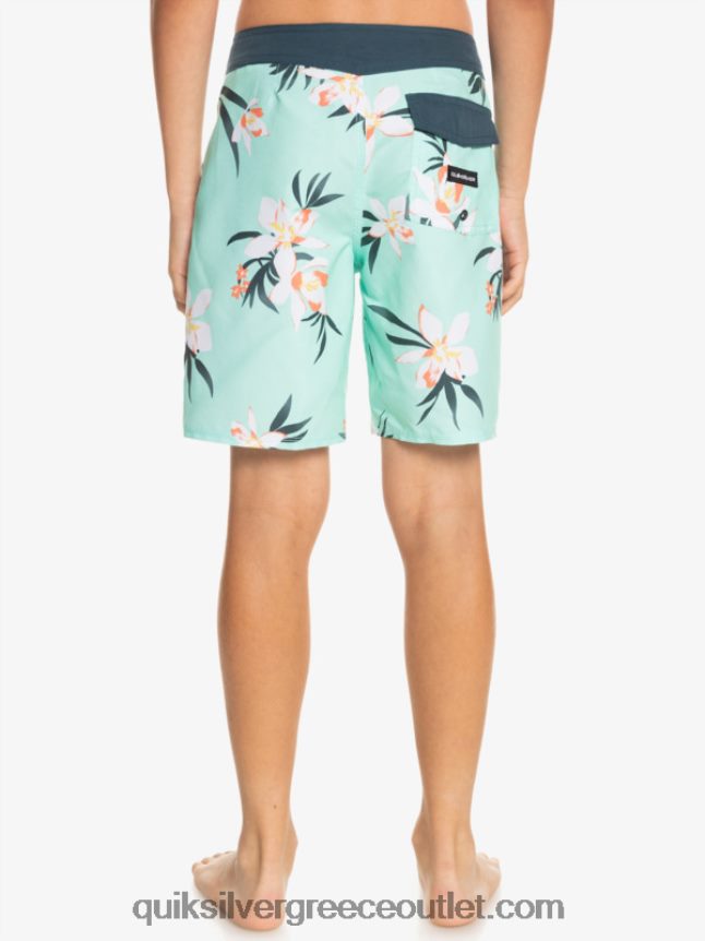 8-16 καθημερινά qs 69 16 boardshorts Quiksilver αγόρια 66LP842140 γυαλί παραλίας
