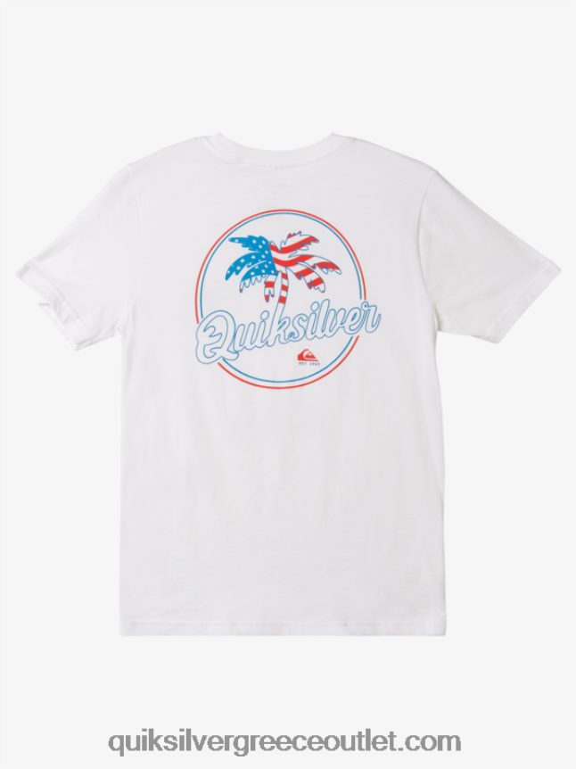 8-16 palm breezy t-shirt Quiksilver αγόρια 66LP841956 άσπρο