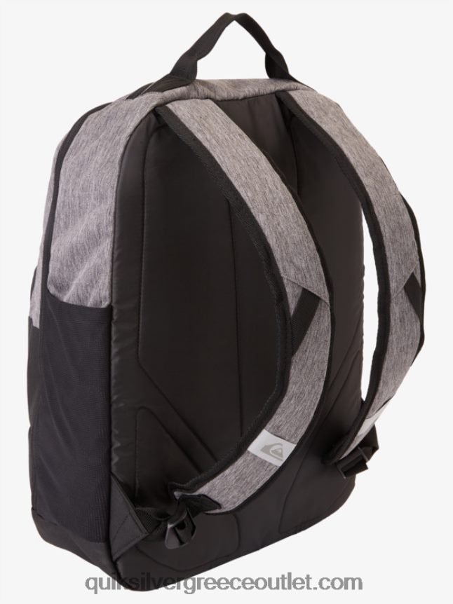 Σακίδιο πλάτης schoolie cooler 30l Quiksilver άνδρες 66LP84372 κληρονομιά ρείκι