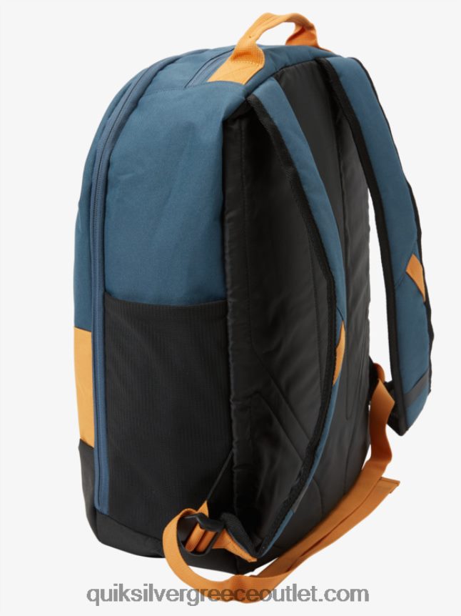 Σακίδιο πλάτης schoolie cooler 30l Quiksilver άνδρες 66LP84374 όγκος χρυσού