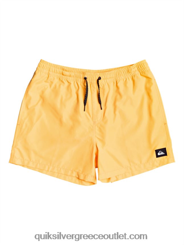 καθημερινά 15 βολέ Quiksilver άνδρες 66LP84459 πορτοκαλί ποπ