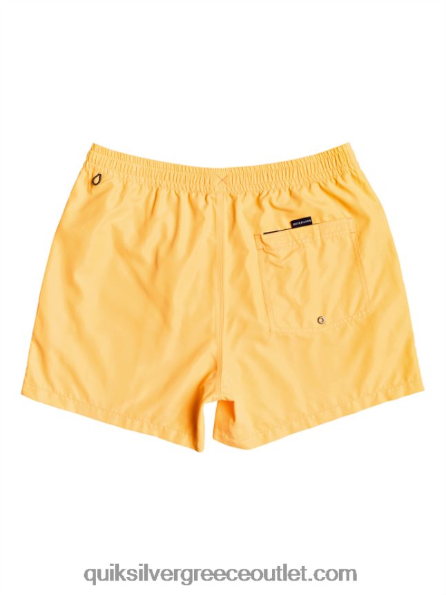 καθημερινά 15 βολέ Quiksilver άνδρες 66LP84459 πορτοκαλί ποπ