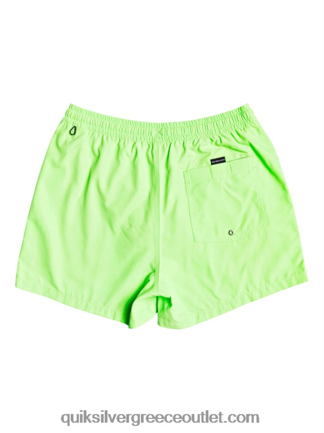 καθημερινά 15 βολέ Quiksilver άνδρες 66LP84460 πράσινο γκέκο