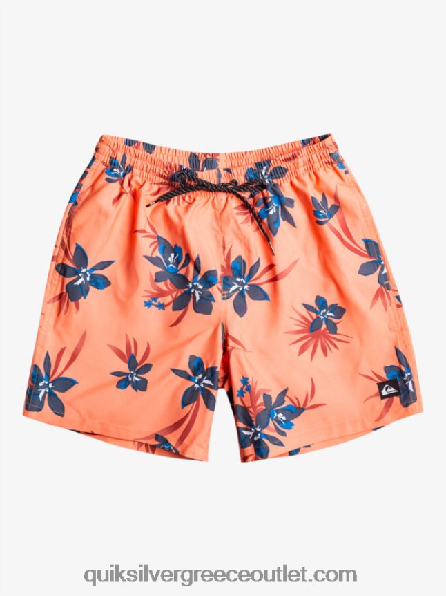 καθημερινή μίξη 17 βολέ Quiksilver άνδρες 66LP841209 φρέσκος σολομός