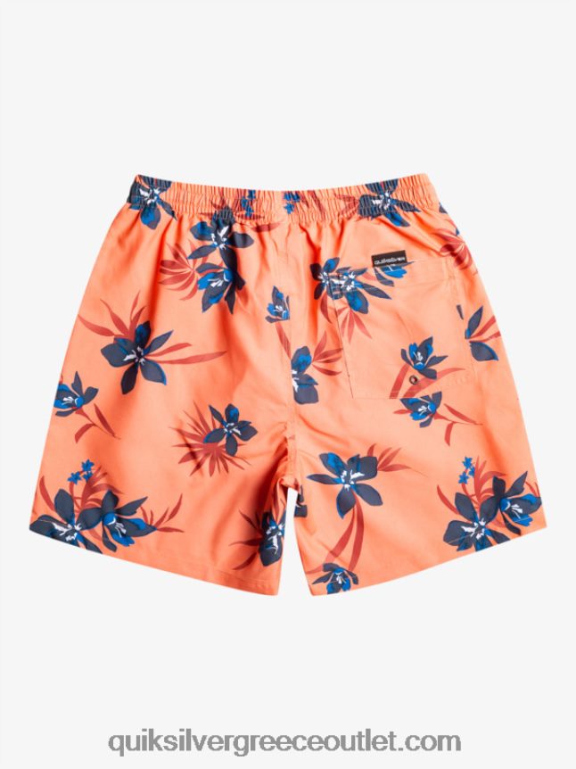 καθημερινή μίξη 17 βολέ Quiksilver άνδρες 66LP841209 φρέσκος σολομός