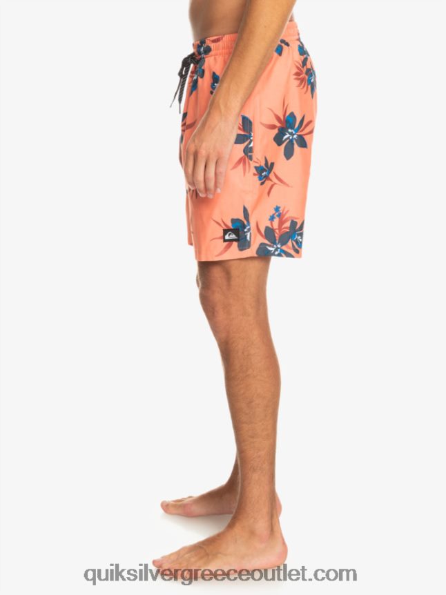 καθημερινή μίξη 17 βολέ Quiksilver άνδρες 66LP841209 φρέσκος σολομός