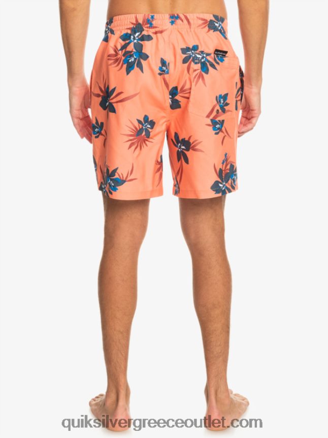 καθημερινή μίξη 17 βολέ Quiksilver άνδρες 66LP841209 φρέσκος σολομός