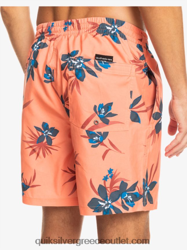 καθημερινή μίξη 17 βολέ Quiksilver άνδρες 66LP841209 φρέσκος σολομός