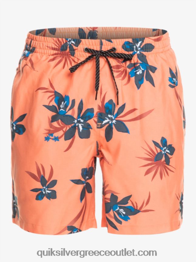 καθημερινή μίξη 17 βολέ Quiksilver άνδρες 66LP841209 φρέσκος σολομός