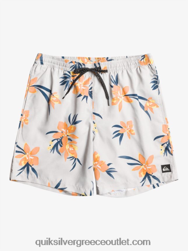 καθημερινή μίξη 17 βολέ Quiksilver άνδρες 66LP841210 γκρι βιολετί
