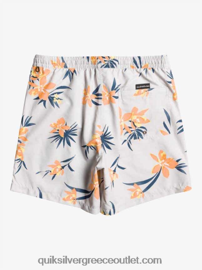 καθημερινή μίξη 17 βολέ Quiksilver άνδρες 66LP841210 γκρι βιολετί