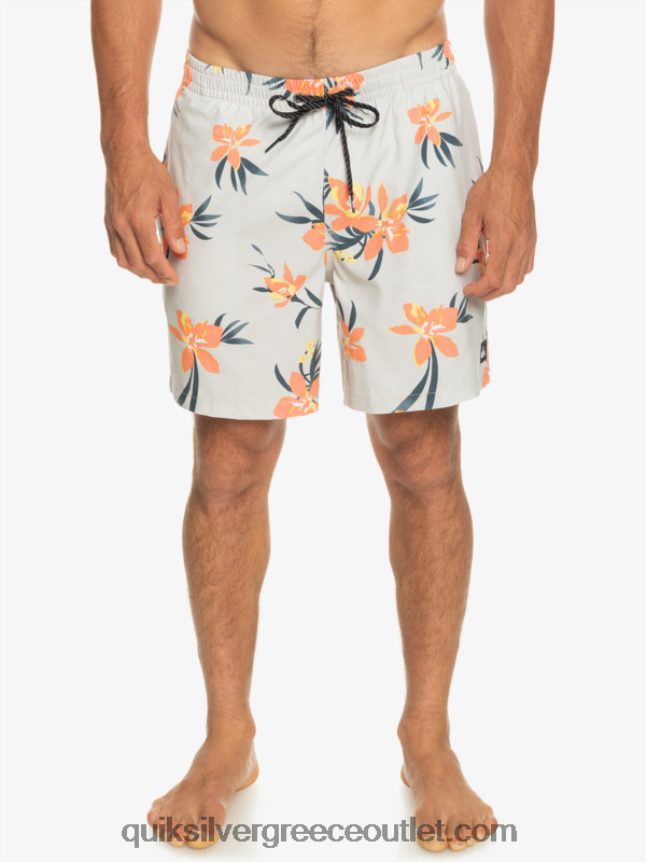 καθημερινή μίξη 17 βολέ Quiksilver άνδρες 66LP841210 γκρι βιολετί
