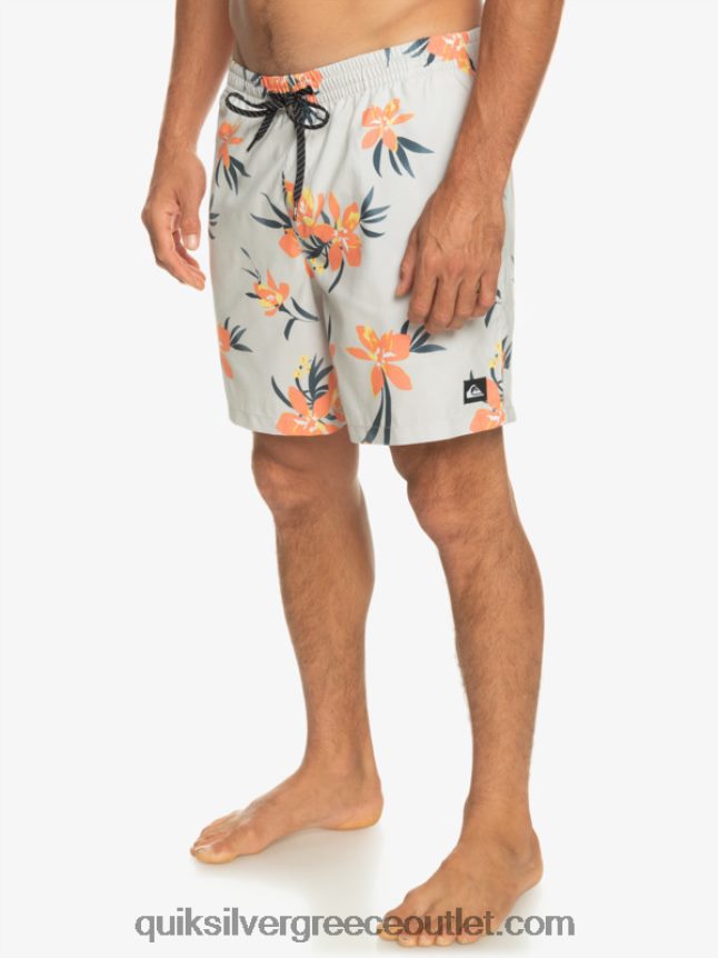 καθημερινή μίξη 17 βολέ Quiksilver άνδρες 66LP841210 γκρι βιολετί