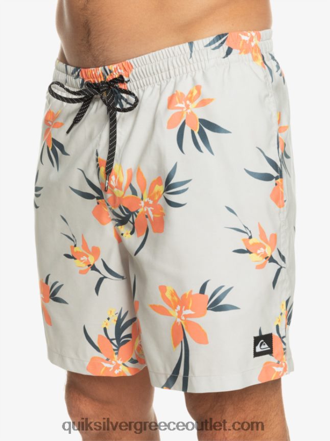 καθημερινή μίξη 17 βολέ Quiksilver άνδρες 66LP841210 γκρι βιολετί