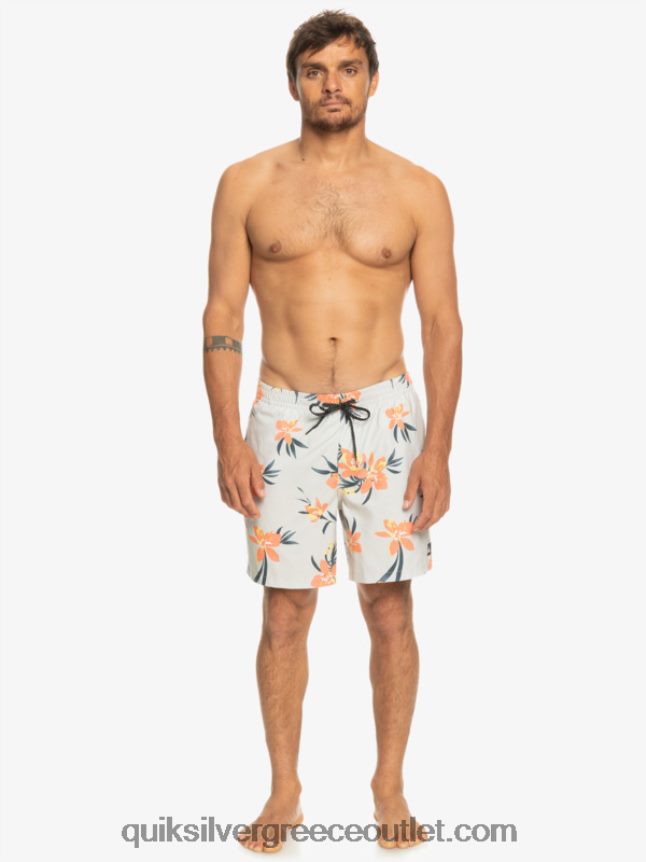 καθημερινή μίξη 17 βολέ Quiksilver άνδρες 66LP841210 γκρι βιολετί