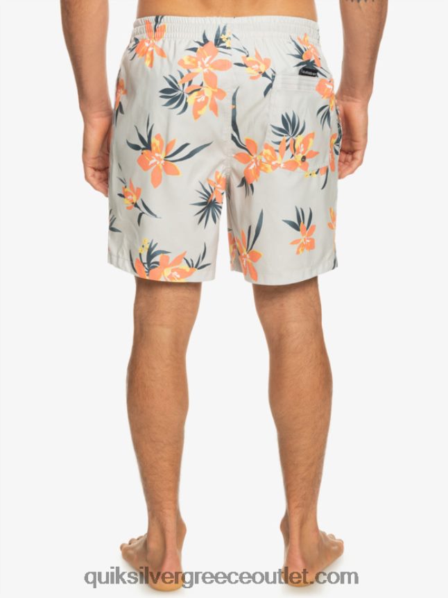 καθημερινή μίξη 17 βολέ Quiksilver άνδρες 66LP841210 γκρι βιολετί