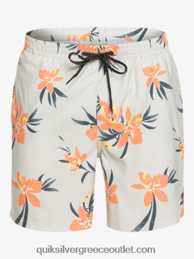 καθημερινή μίξη 17 βολέ Quiksilver άνδρες 66LP841210 γκρι βιολετί