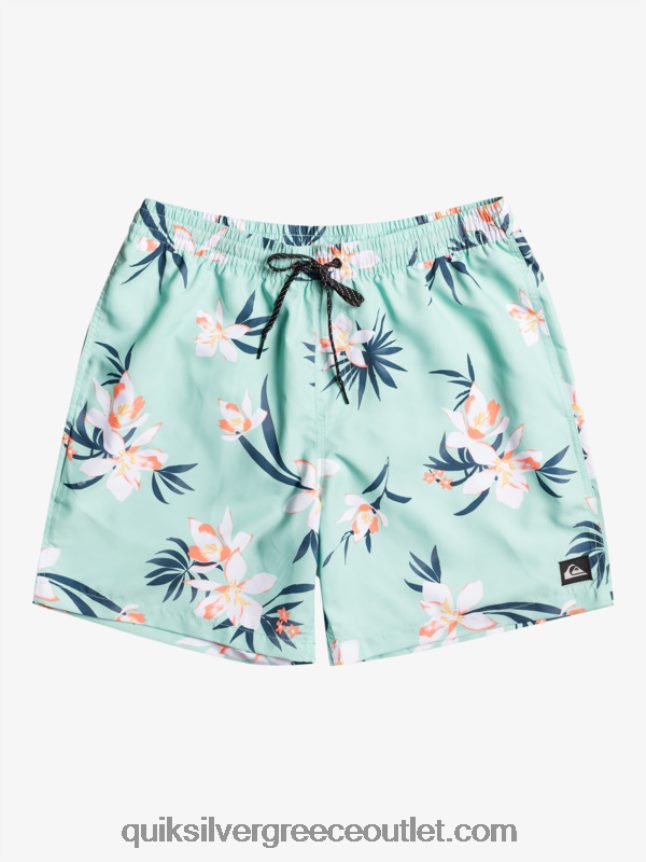καθημερινή μίξη 17 βολέ Quiksilver άνδρες 66LP841211 γυαλί παραλίας