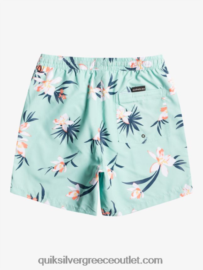 καθημερινή μίξη 17 βολέ Quiksilver άνδρες 66LP841211 γυαλί παραλίας