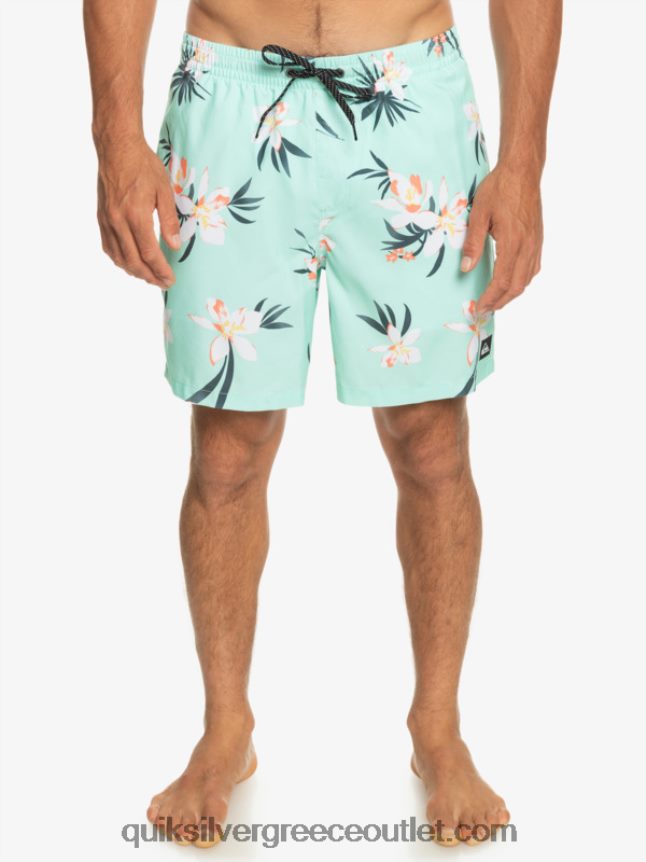 καθημερινή μίξη 17 βολέ Quiksilver άνδρες 66LP841211 γυαλί παραλίας