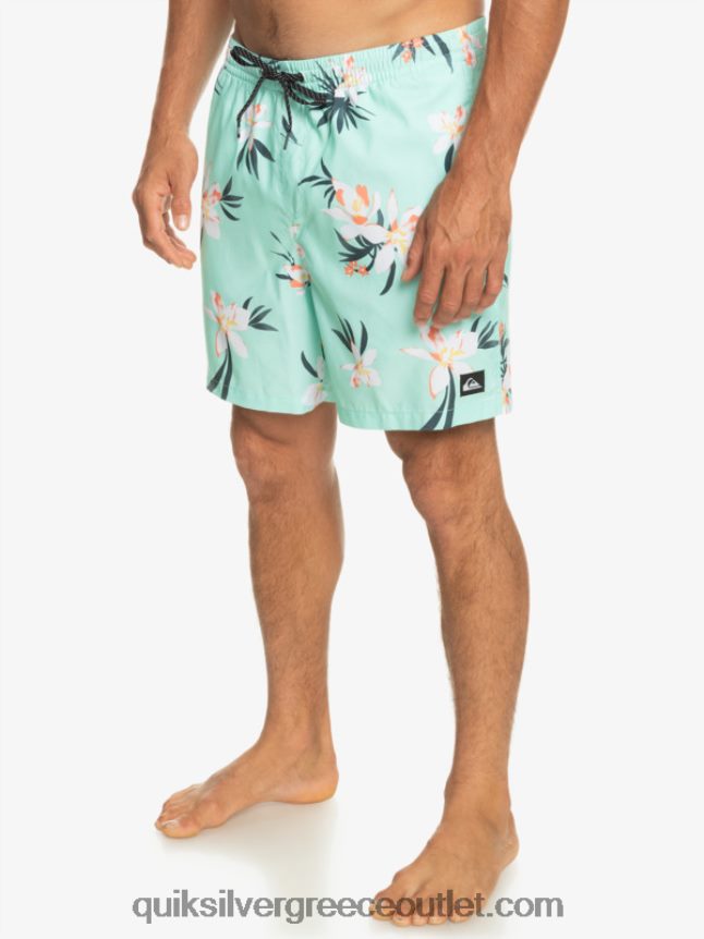 καθημερινή μίξη 17 βολέ Quiksilver άνδρες 66LP841211 γυαλί παραλίας