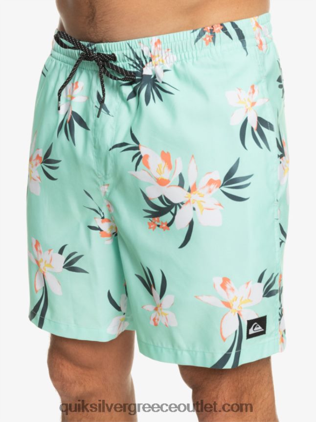 καθημερινή μίξη 17 βολέ Quiksilver άνδρες 66LP841211 γυαλί παραλίας