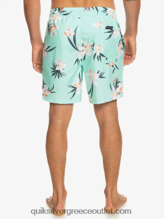 καθημερινή μίξη 17 βολέ Quiksilver άνδρες 66LP841211 γυαλί παραλίας