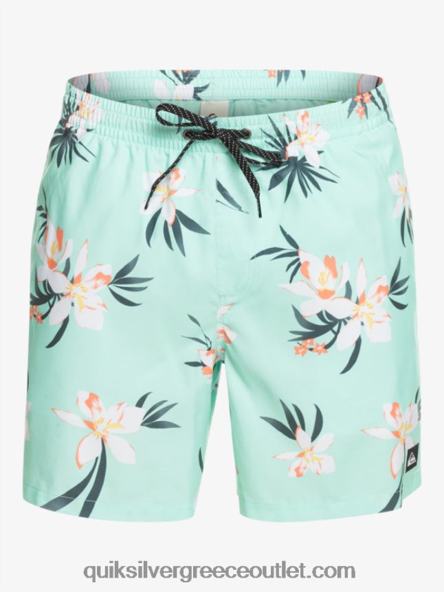 καθημερινή μίξη 17 βολέ Quiksilver άνδρες 66LP841211 γυαλί παραλίας