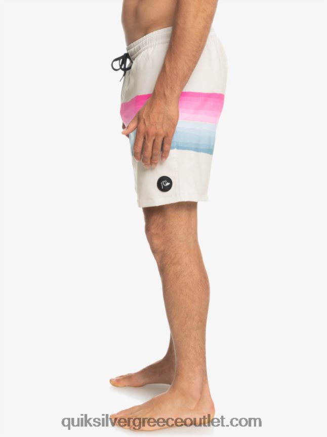 ρητίνη απόχρωση τεμ 17 βόλια Quiksilver άνδρες 66LP841267 σημύδα