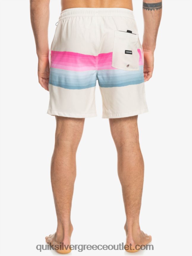ρητίνη απόχρωση τεμ 17 βόλια Quiksilver άνδρες 66LP841267 σημύδα