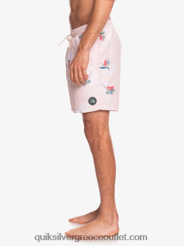 καθημερινή μίξη 17 βολέ Quiksilver άνδρες 66LP841467 πέπλο τριαντάφυλλο