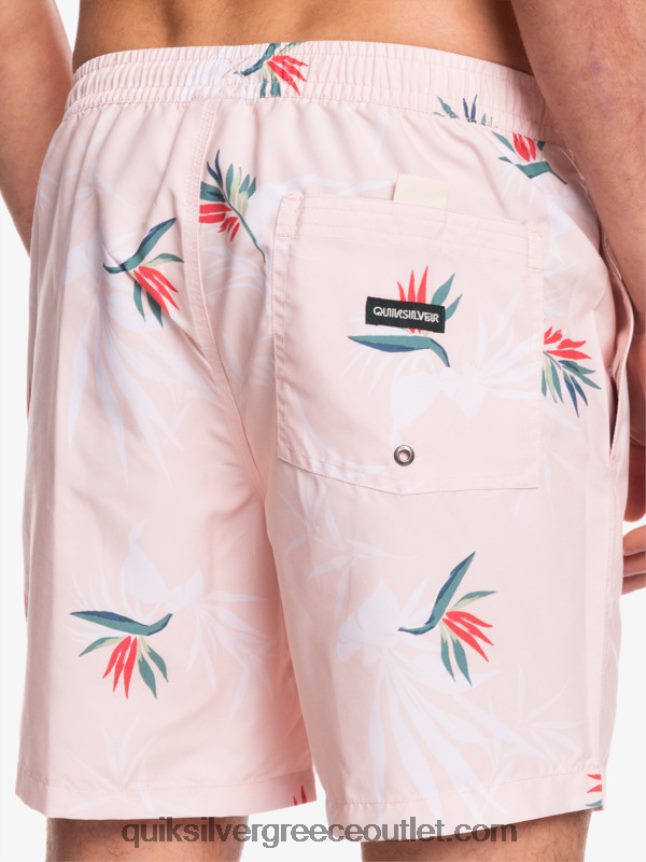 καθημερινή μίξη 17 βολέ Quiksilver άνδρες 66LP841467 πέπλο τριαντάφυλλο