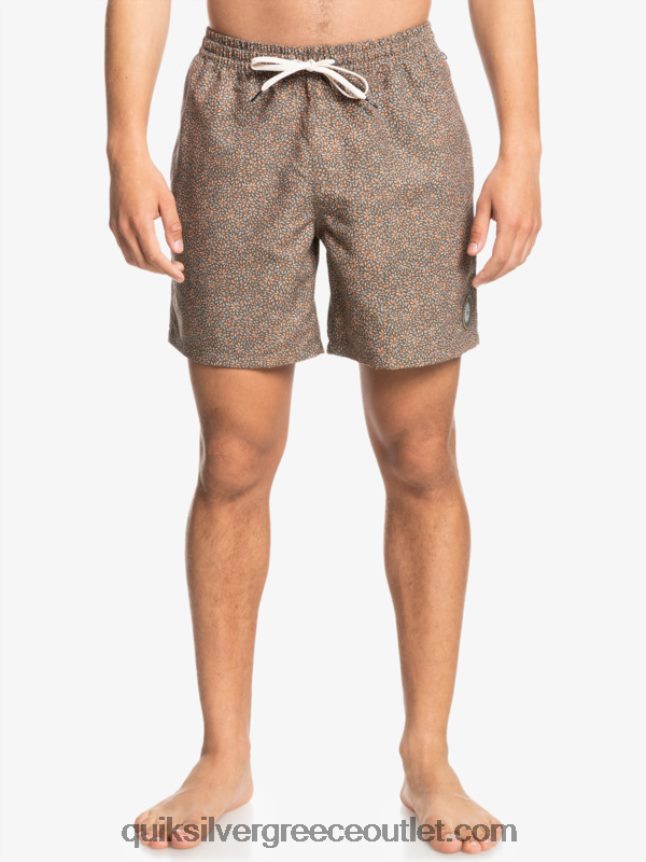 μίνι ταξίδι 17 βόλεϊ Quiksilver άνδρες 66LP841531 κανέλα