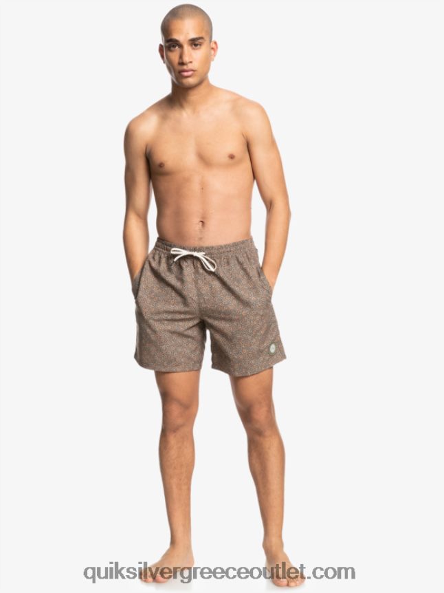 μίνι ταξίδι 17 βόλεϊ Quiksilver άνδρες 66LP841531 κανέλα