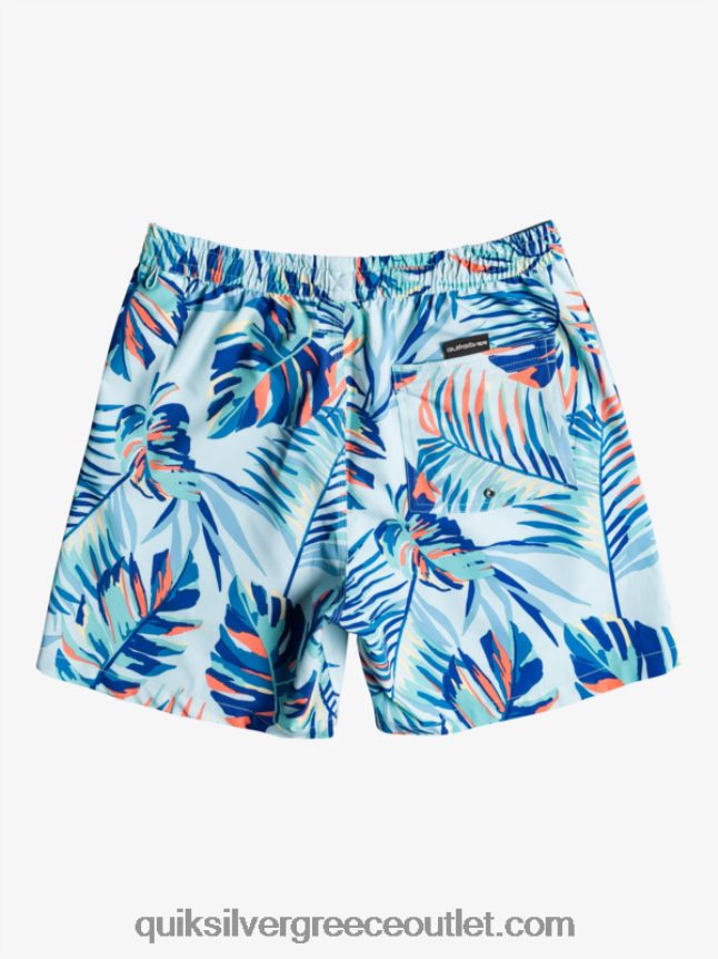 ωκεάνιο μείγμα 17 βόλες Quiksilver άνδρες 66LP841707 παγωμένο νερό
