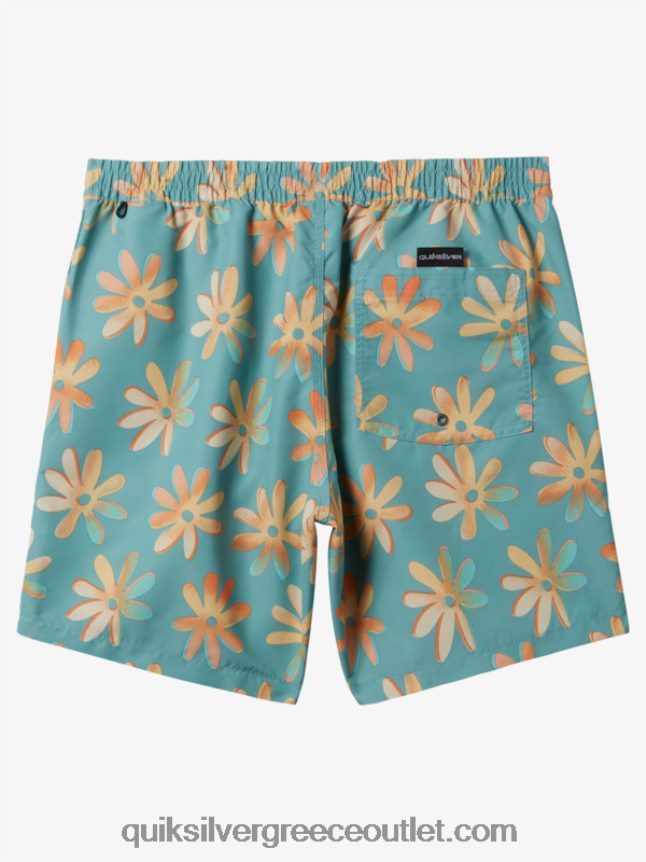ανακατέψτε ξανά 17 βόλια Quiksilver άνδρες 66LP84353 καμέο μπλε