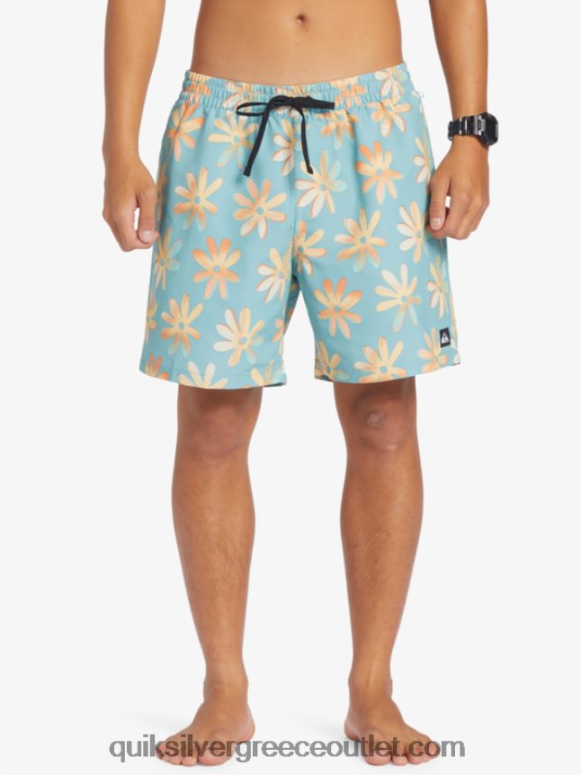 ανακατέψτε ξανά 17 βόλια Quiksilver άνδρες 66LP84353 καμέο μπλε