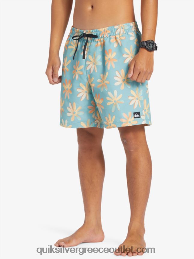 ανακατέψτε ξανά 17 βόλια Quiksilver άνδρες 66LP84353 καμέο μπλε