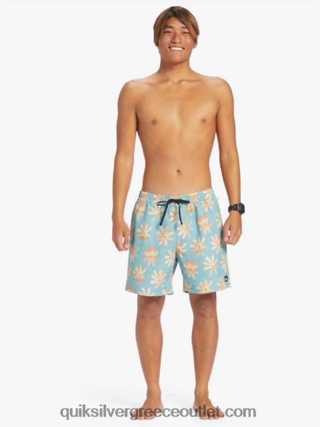 ανακατέψτε ξανά 17 βόλια Quiksilver άνδρες 66LP84353 καμέο μπλε
