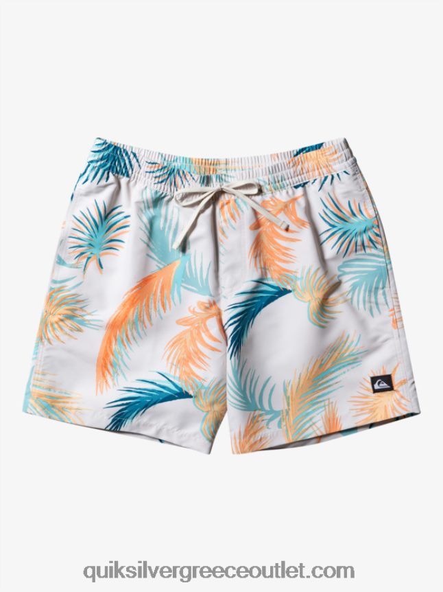 ανακατέψτε ξανά 17 βόλια Quiksilver άνδρες 66LP84355 σημύδα
