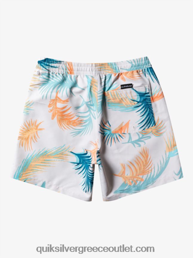 ανακατέψτε ξανά 17 βόλια Quiksilver άνδρες 66LP84355 σημύδα