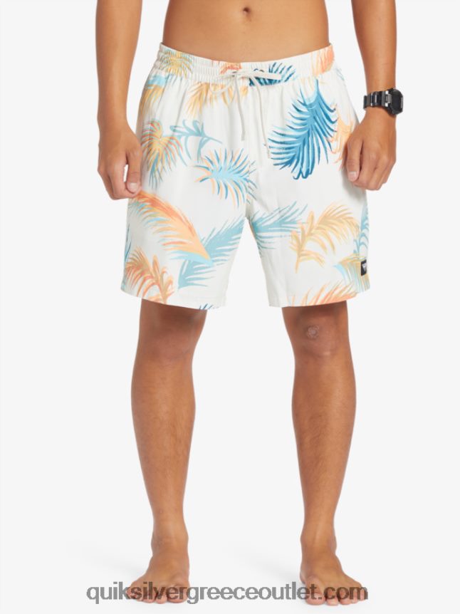 ανακατέψτε ξανά 17 βόλια Quiksilver άνδρες 66LP84355 σημύδα